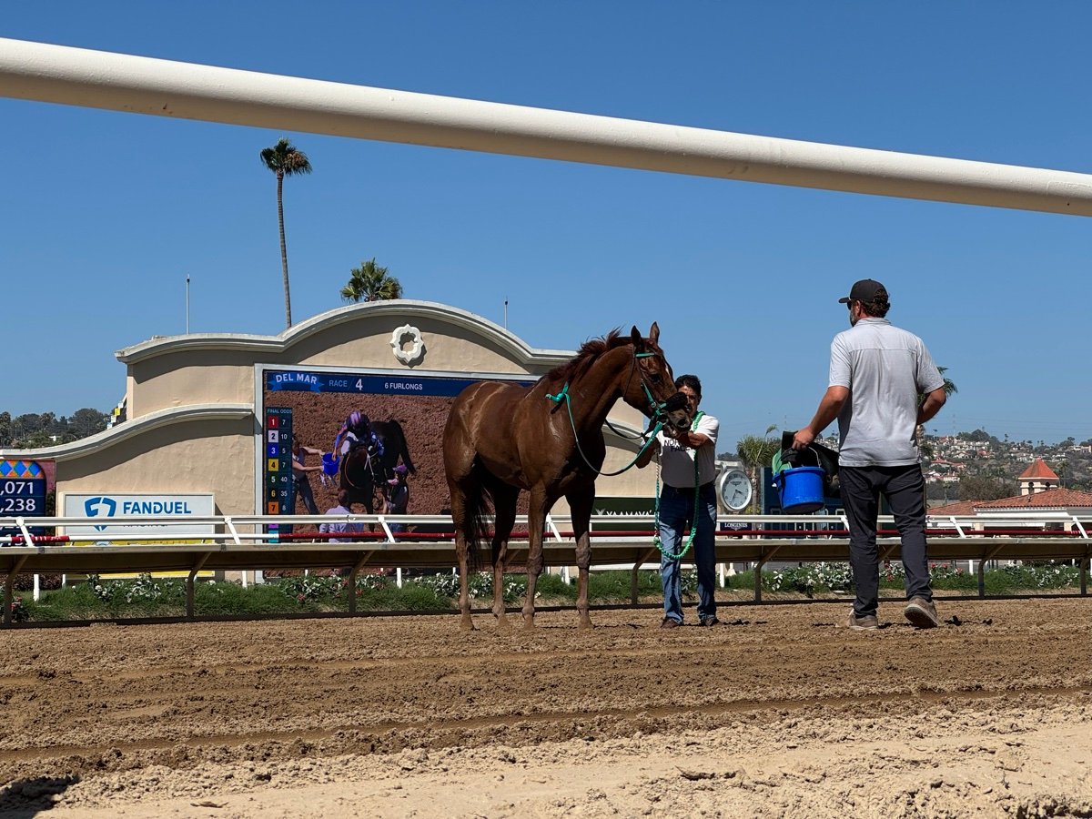 青空とヤシの木の下、ダートコースで係員2人に引かれる栗毛の競走馬。奥に「DEL MAR RACE 4」と表示された掲示板と FanDuel の看板