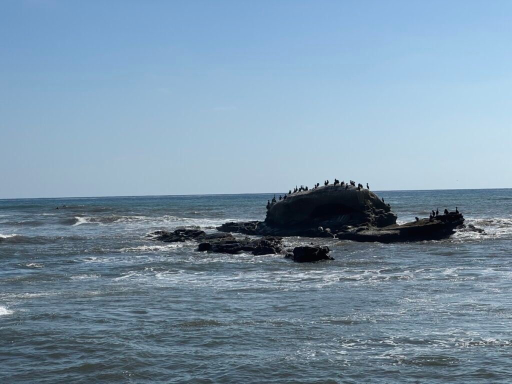 ラホヤの海から突き出た Bird Rock の岩。岩の上にたくさんの鳥が並んで止まっている