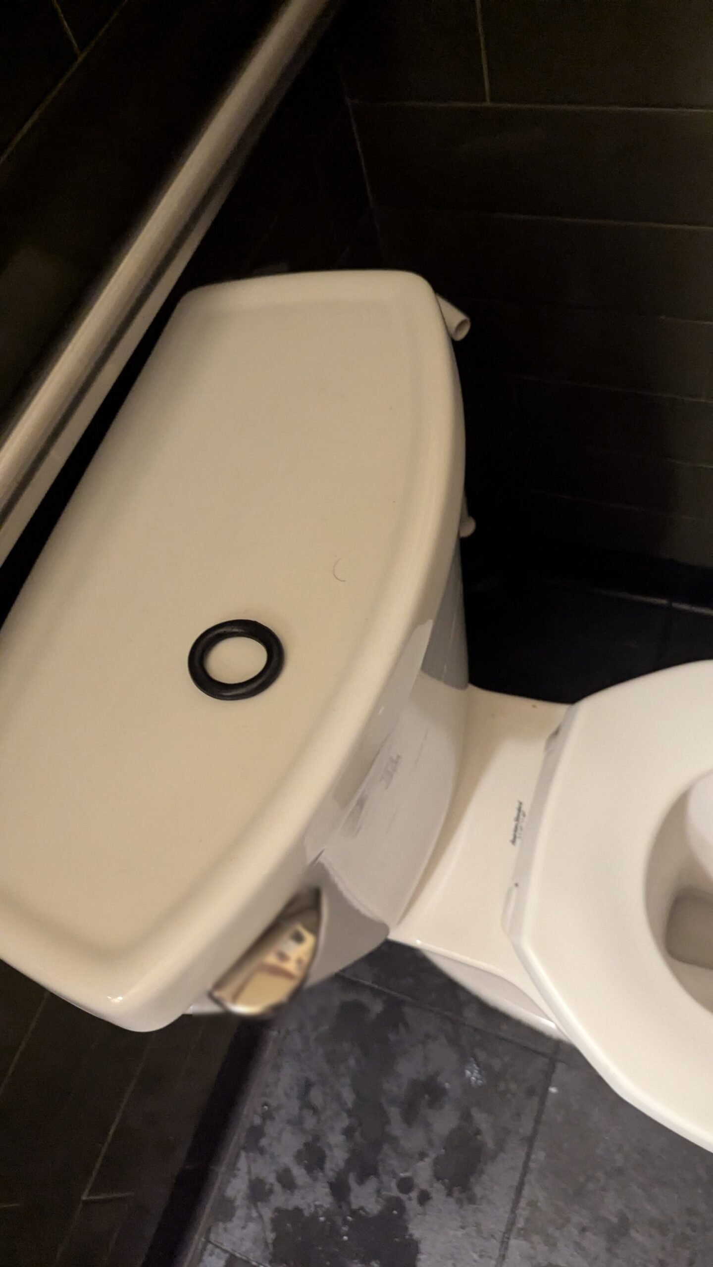 バーの化粧室。トイレのタンクのふたの上に、黒いシリコン製のコックリングがひとつ置き忘れられている。