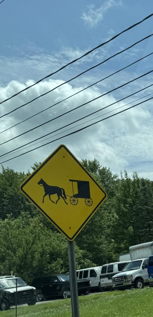 黄色い地に馬と馬車のシルエットが描かれた、アーミッシュの馬車に注意を促すアメリカの道路標識。実際に僕が運転中に見かけて撮った1枚