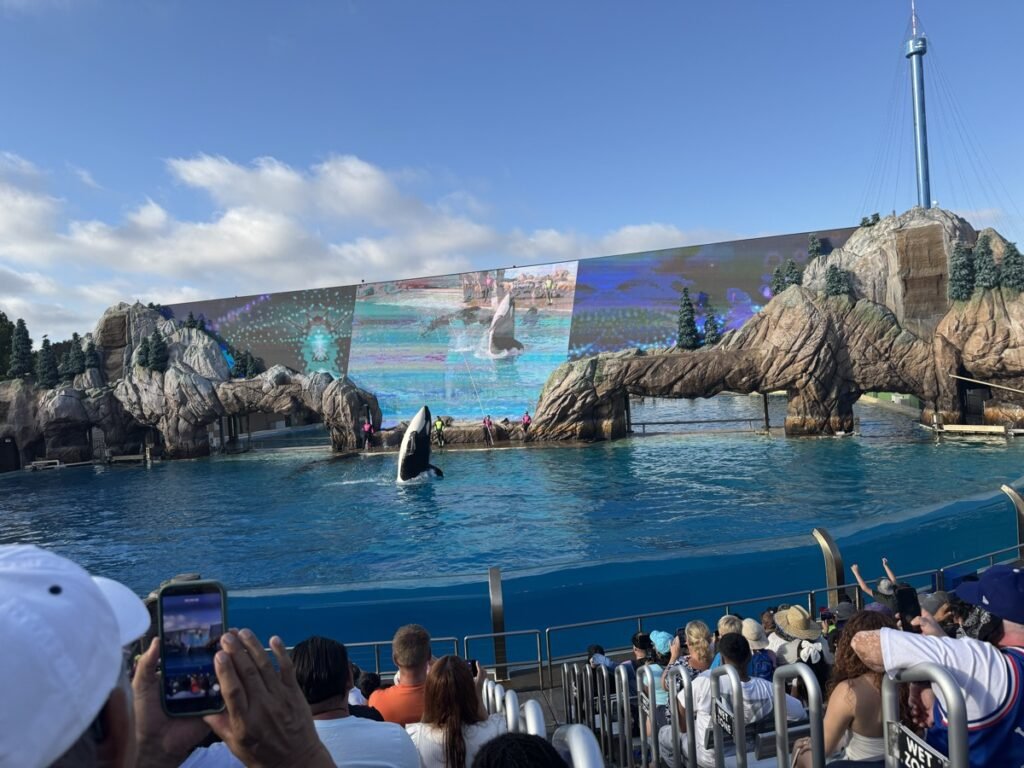 SeaWorld San Diegoの「Orca Encounter」でシャチがジャンプし、背景の大型スクリーンの演出が盛り上がっている様子