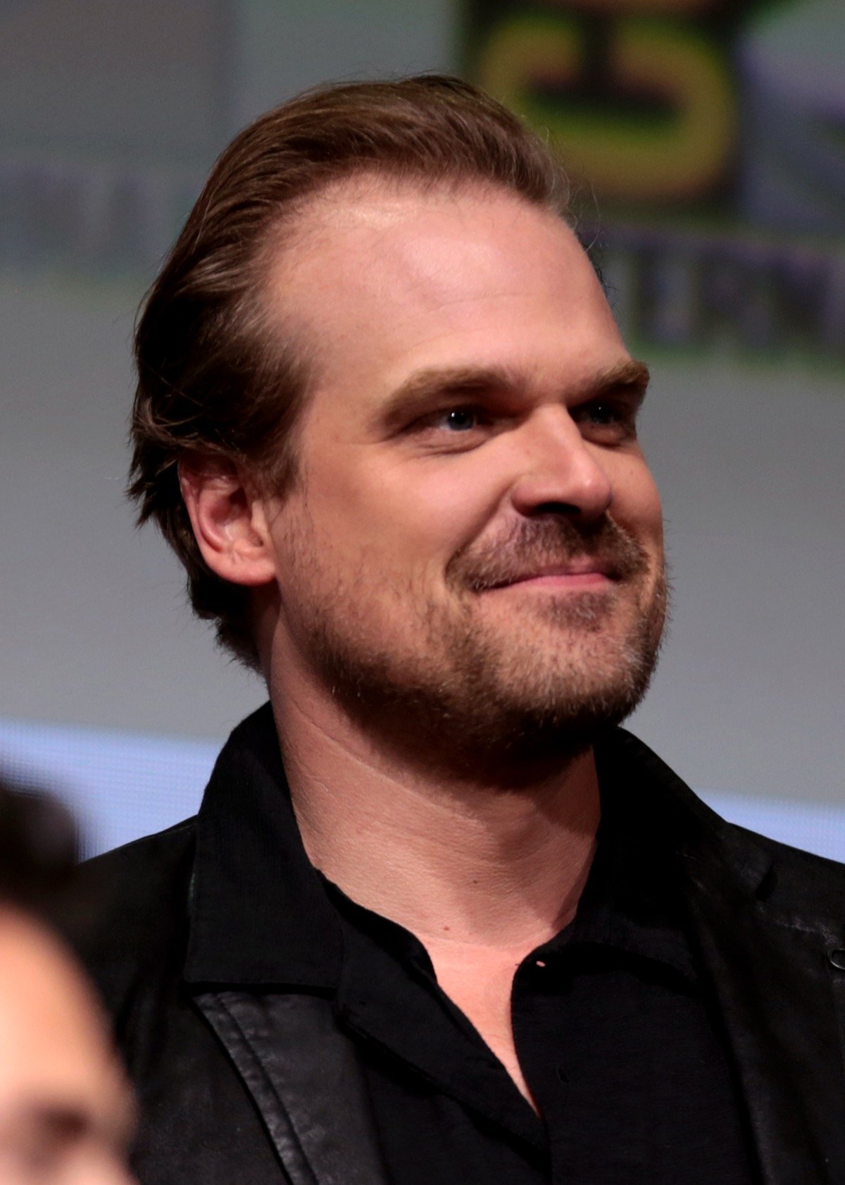 2017年サンディエゴ・コミコンのステージでにこやかに笑うDavid Harbour(デヴィッド・ハーバー)