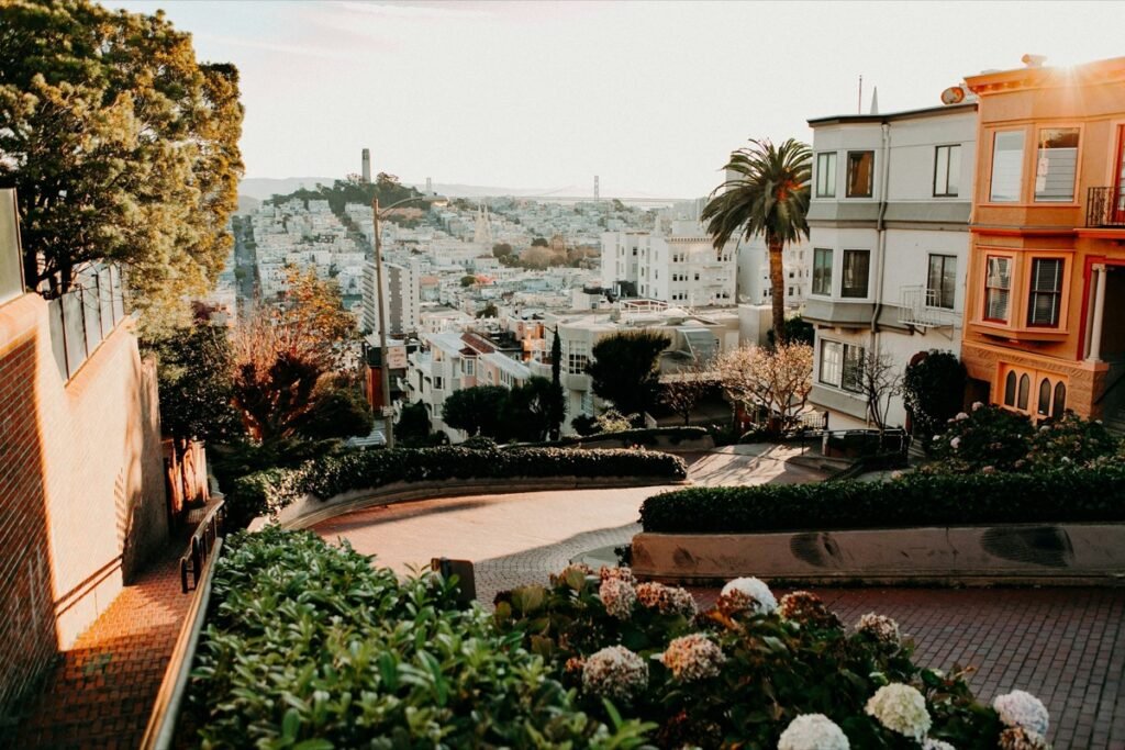 アメリカの街のイメージ。アジサイの植え込みがあるサンフランシスコのロンバード・ストリートから、やわらかい光の中でコイトタワーとベイブリッジ方面を見下ろした街並み(素材写真)